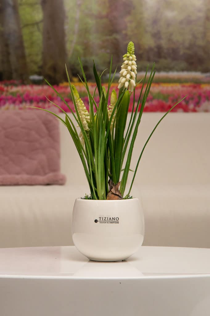 Mini Blumentopf Genua 8cm weiß-creme – Bild 3