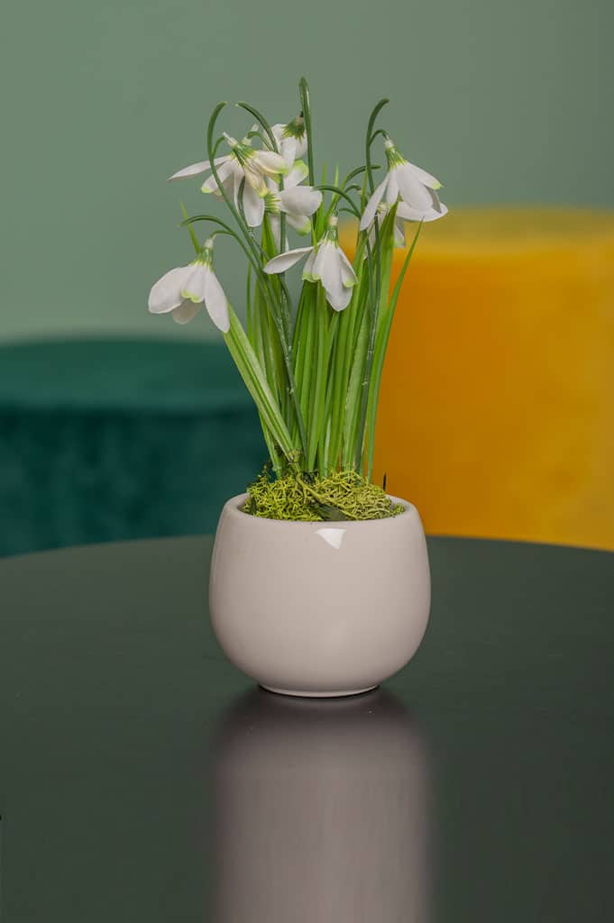 Mini Blumentopf Genua 8cm weiß-creme – Bild 4