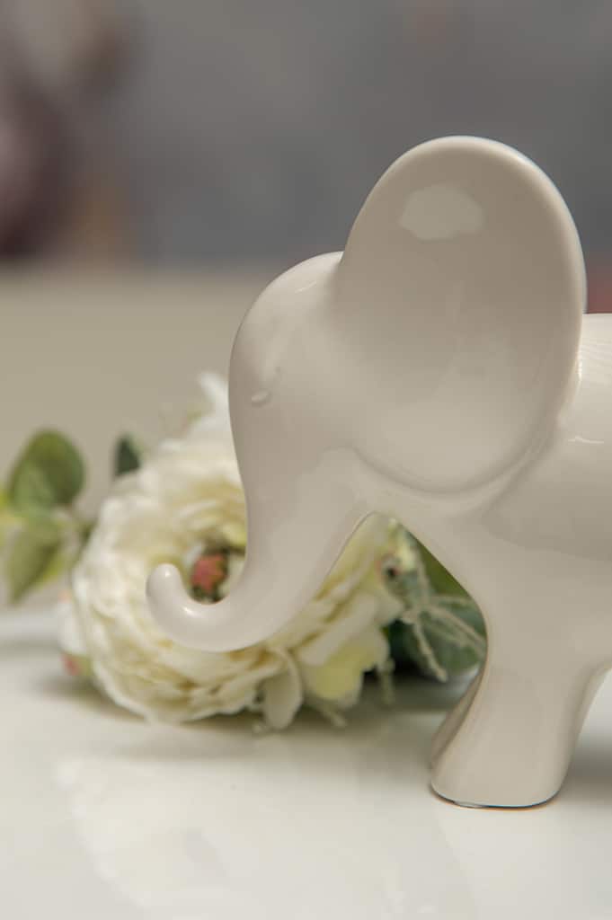 leon-m-gluecksblatt-weiss-creme-detail-ruessel