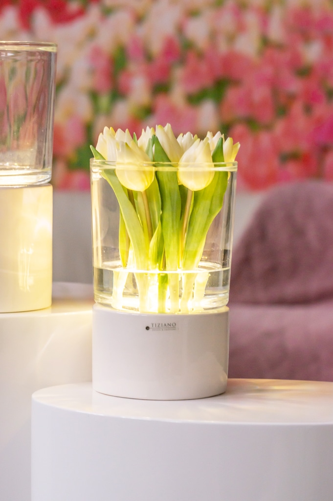 Deko Windlicht Narvik LED mit Glas weiß-creme kaufen