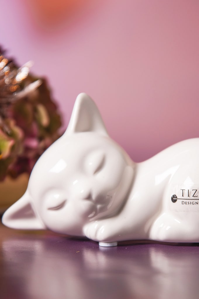 sadira-katze-liegend-weiss-creme-detail