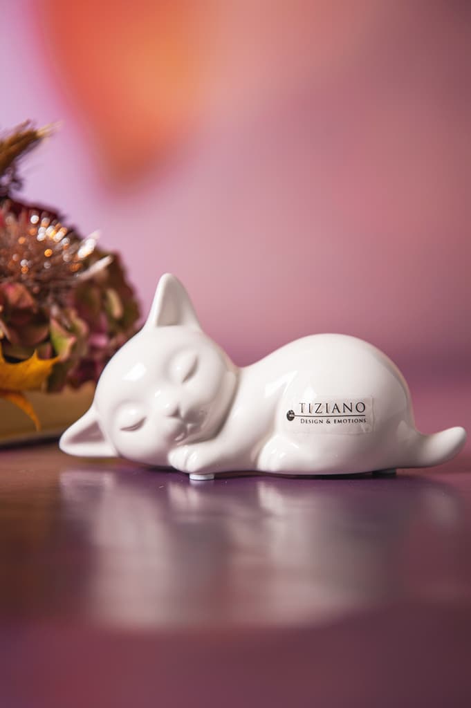 sadira-katze-liegend-weiss-creme