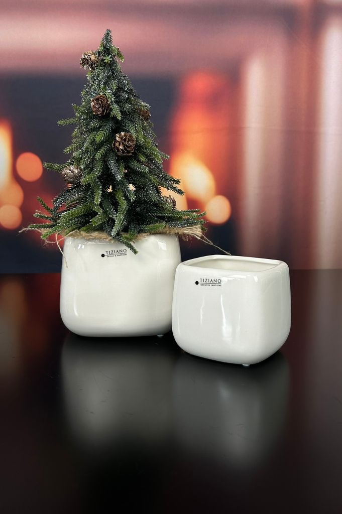 Kübel Brezone creme