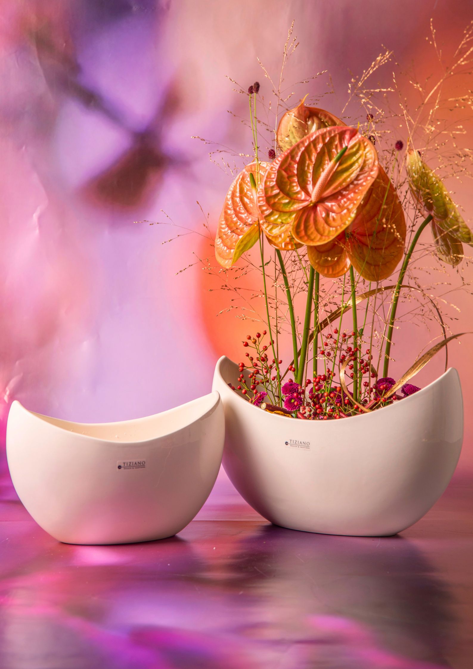 brida-schale-creme-varianten