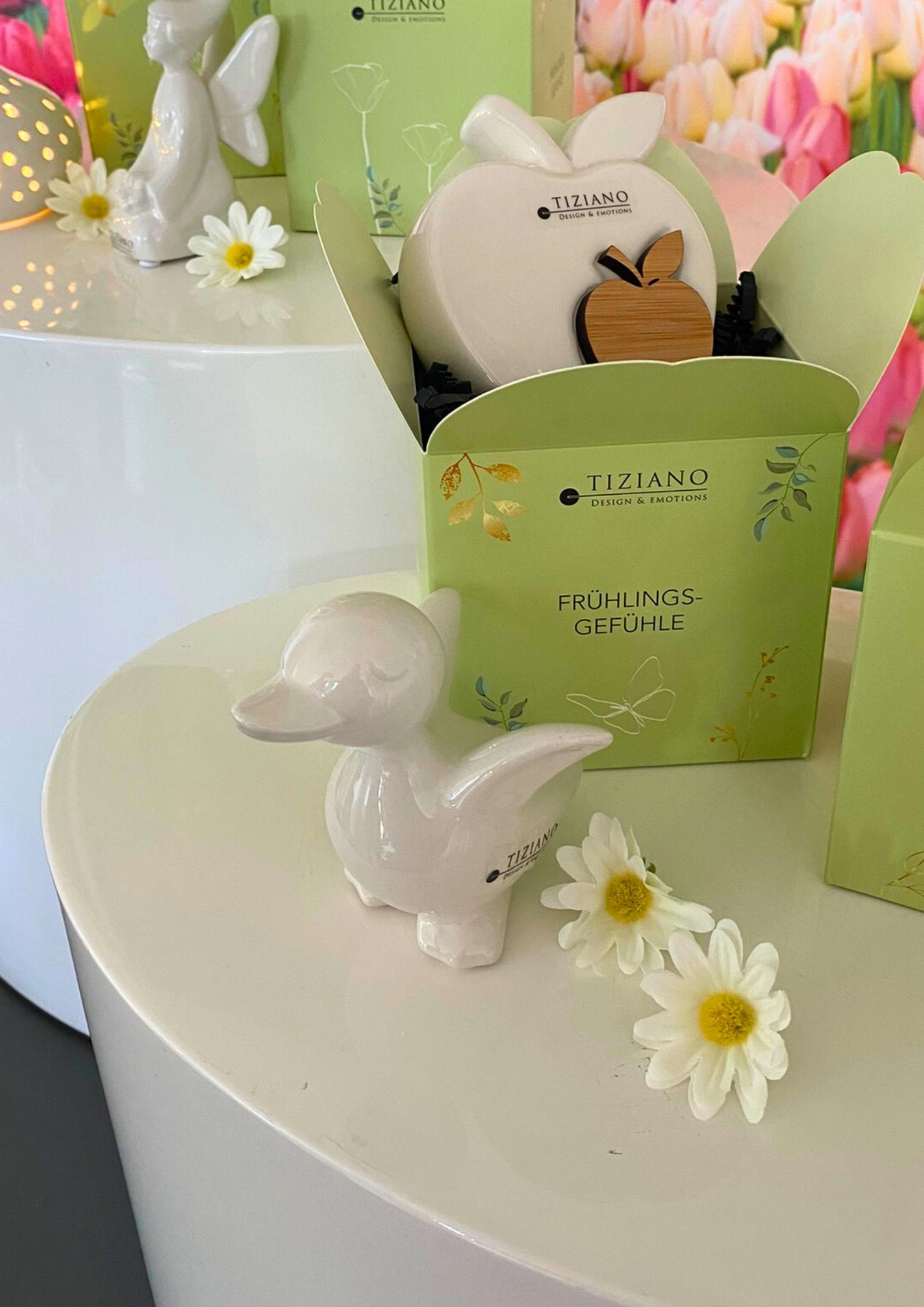 Würfelbox Daffy kopf hoch