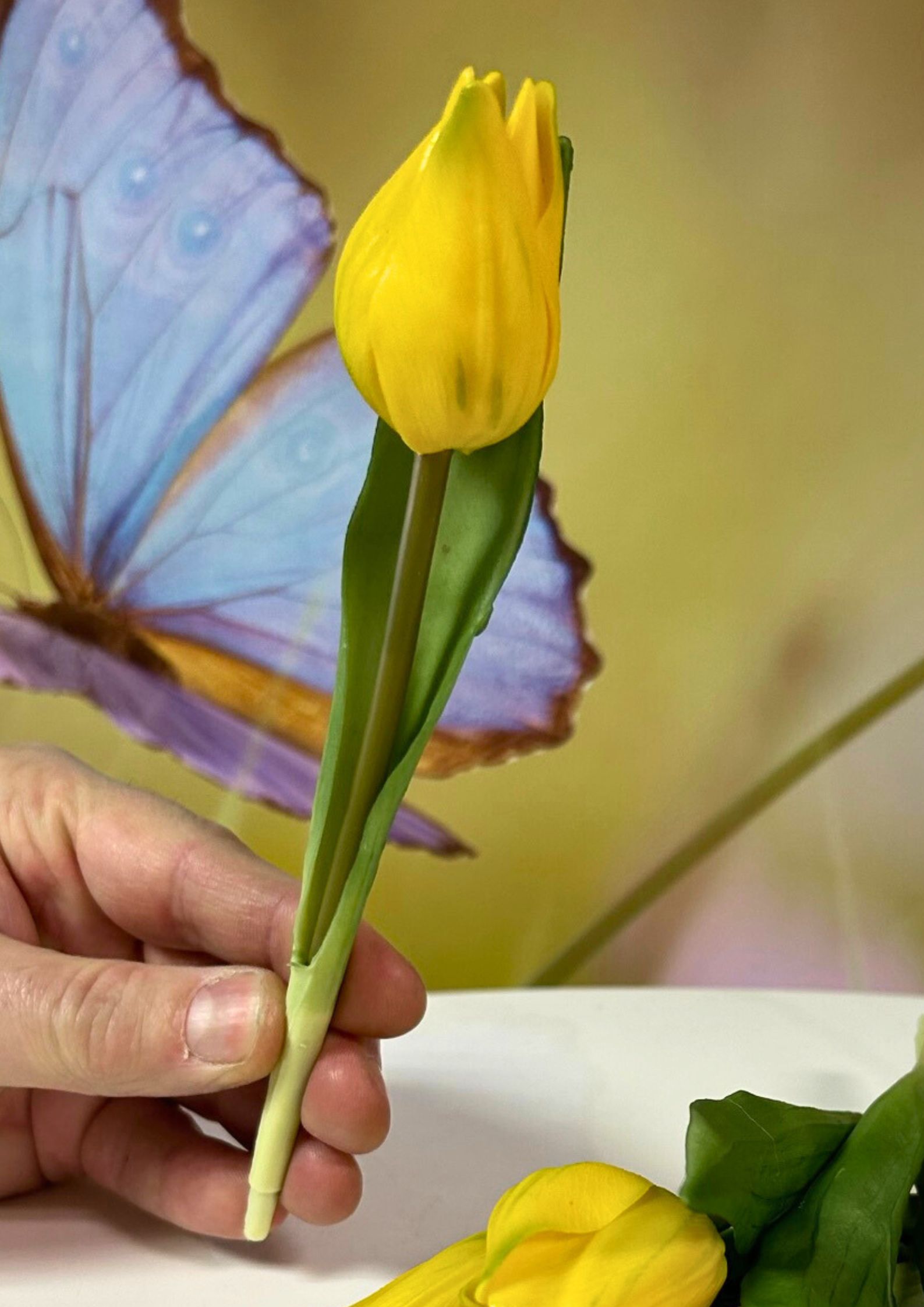 6er Bund Tulpen Gelb detail