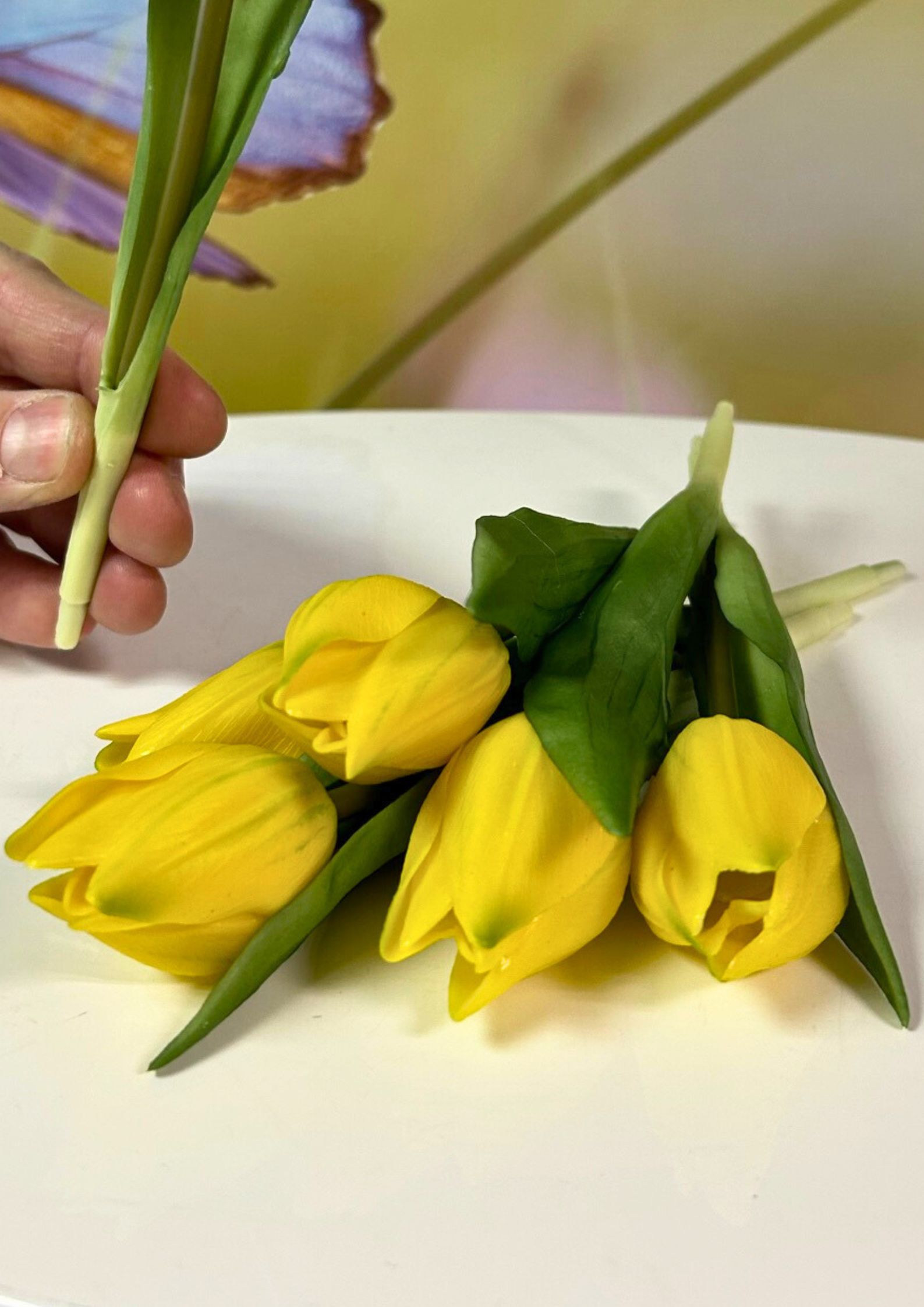 6er Tulpen Gelb detail Bund