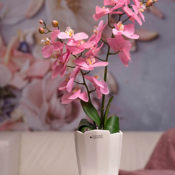 Mettina Orchideenkübel