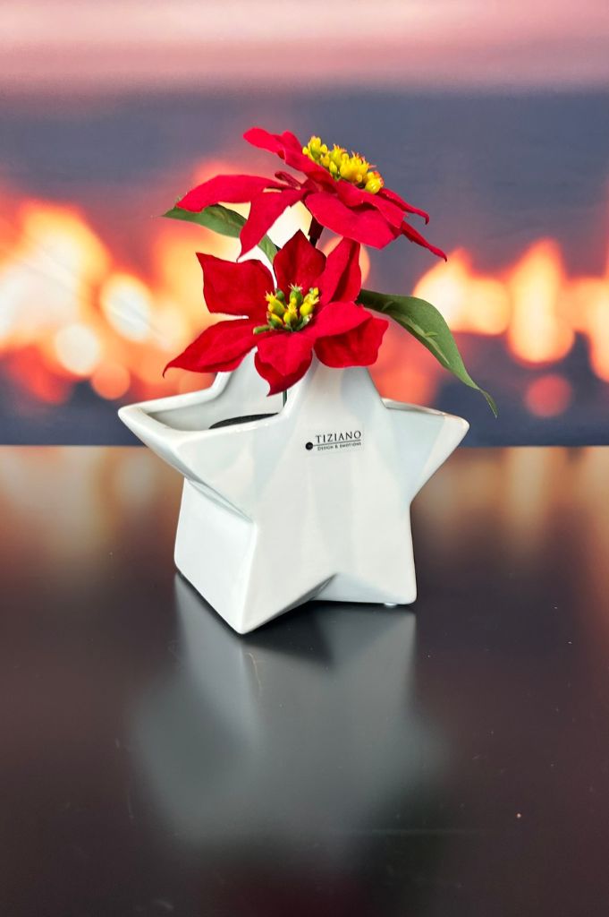 Kübel Cometa creme-weiß – Bild 6