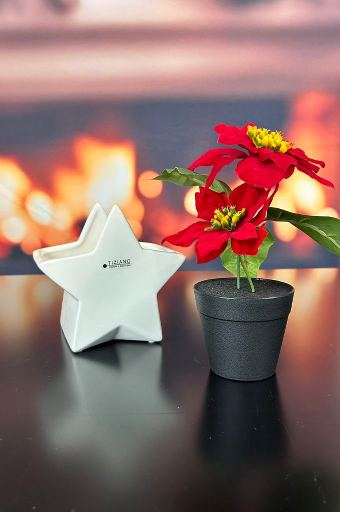 Kübel Cometa creme-weiß – Bild 3