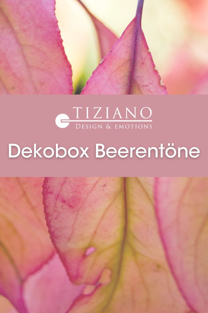 Dekobox Beerentöne