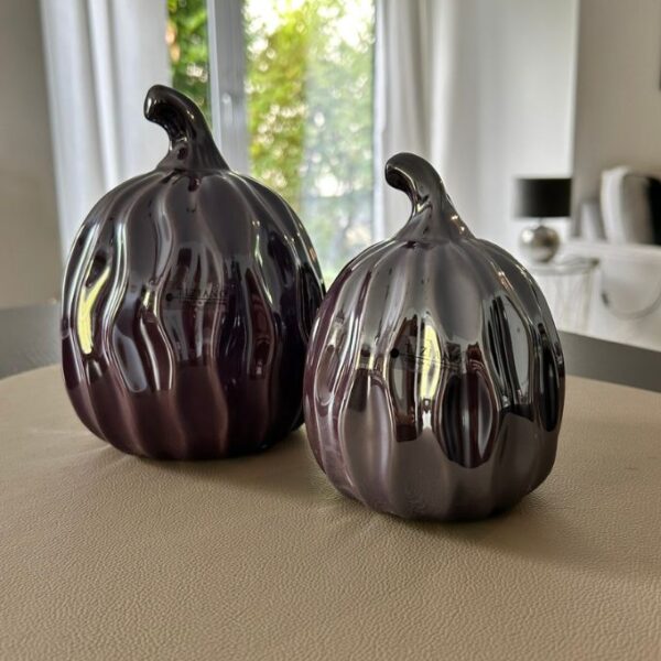 Kürbis Rondin red plum
