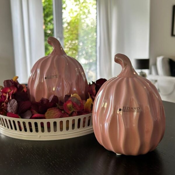 Kürbis Rondin glory pink