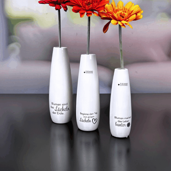 Vase Manioli 22cm Beginne...