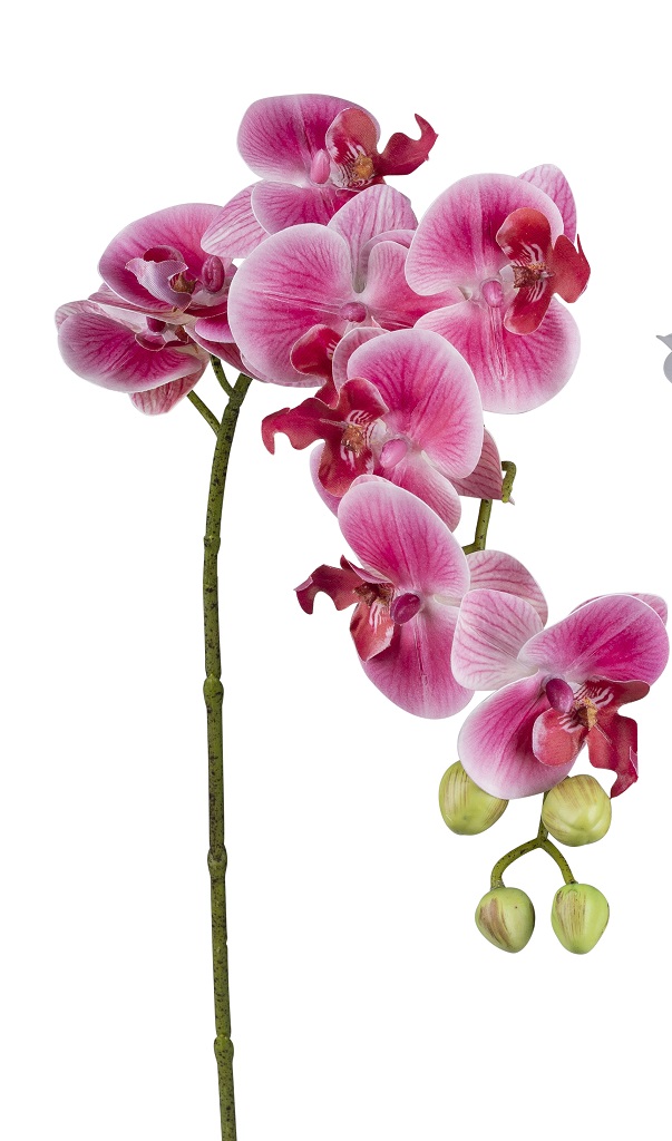 Orchidee pink 80cm