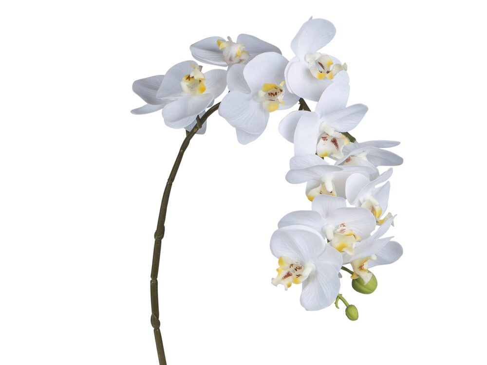 Orchidee weiß 56cm real touch