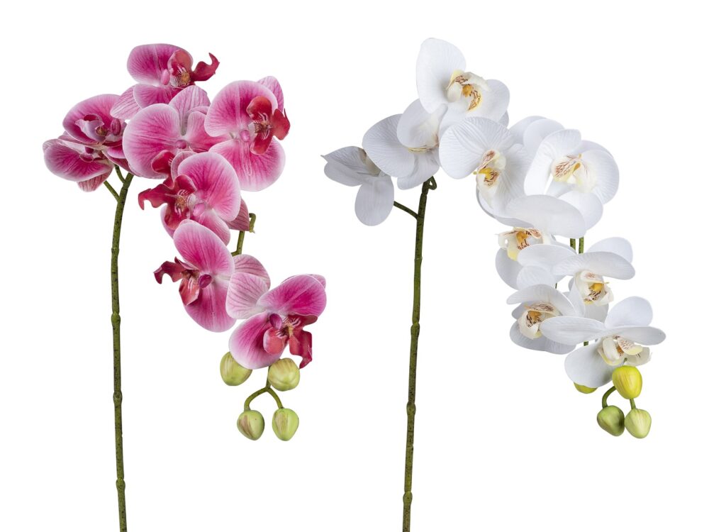 Orchideenzweig 60cm farb. sort