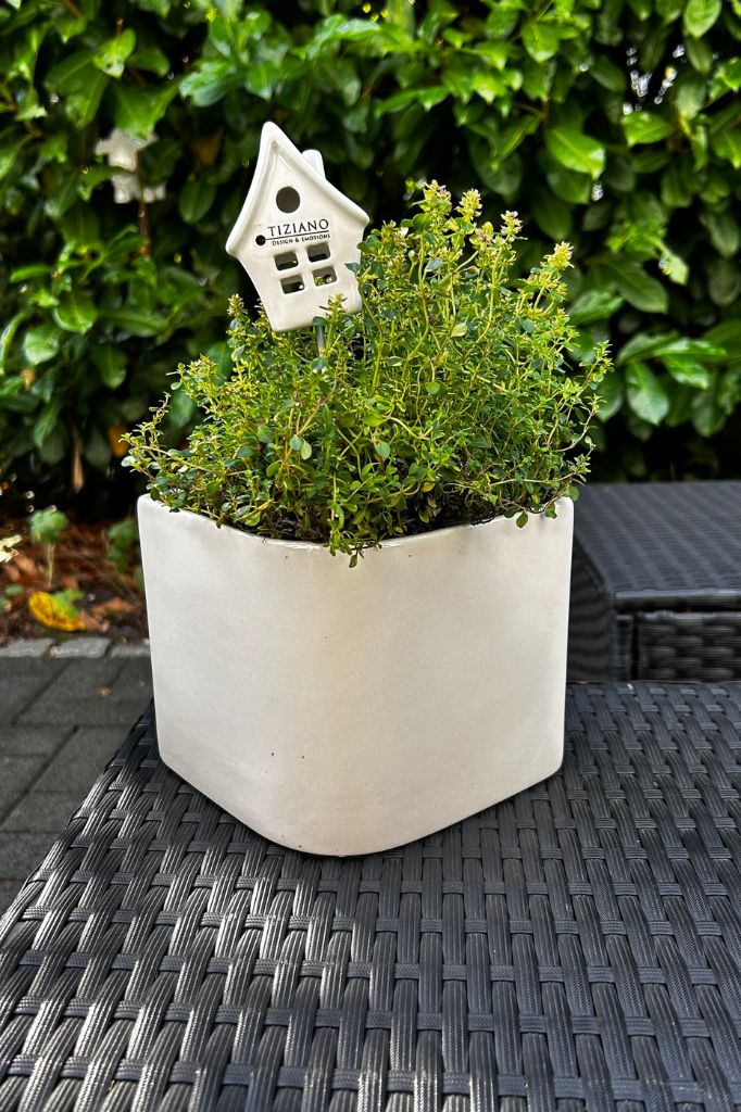 Orchideenkübel Napoli 13,5cm creme-weiß