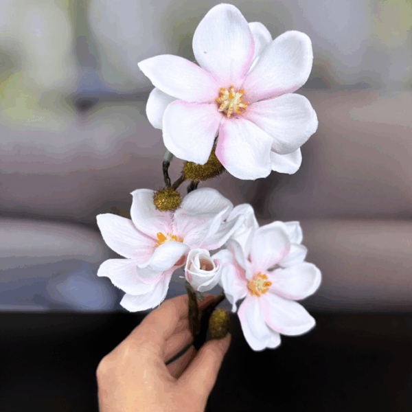 Magnolienzweig rose
