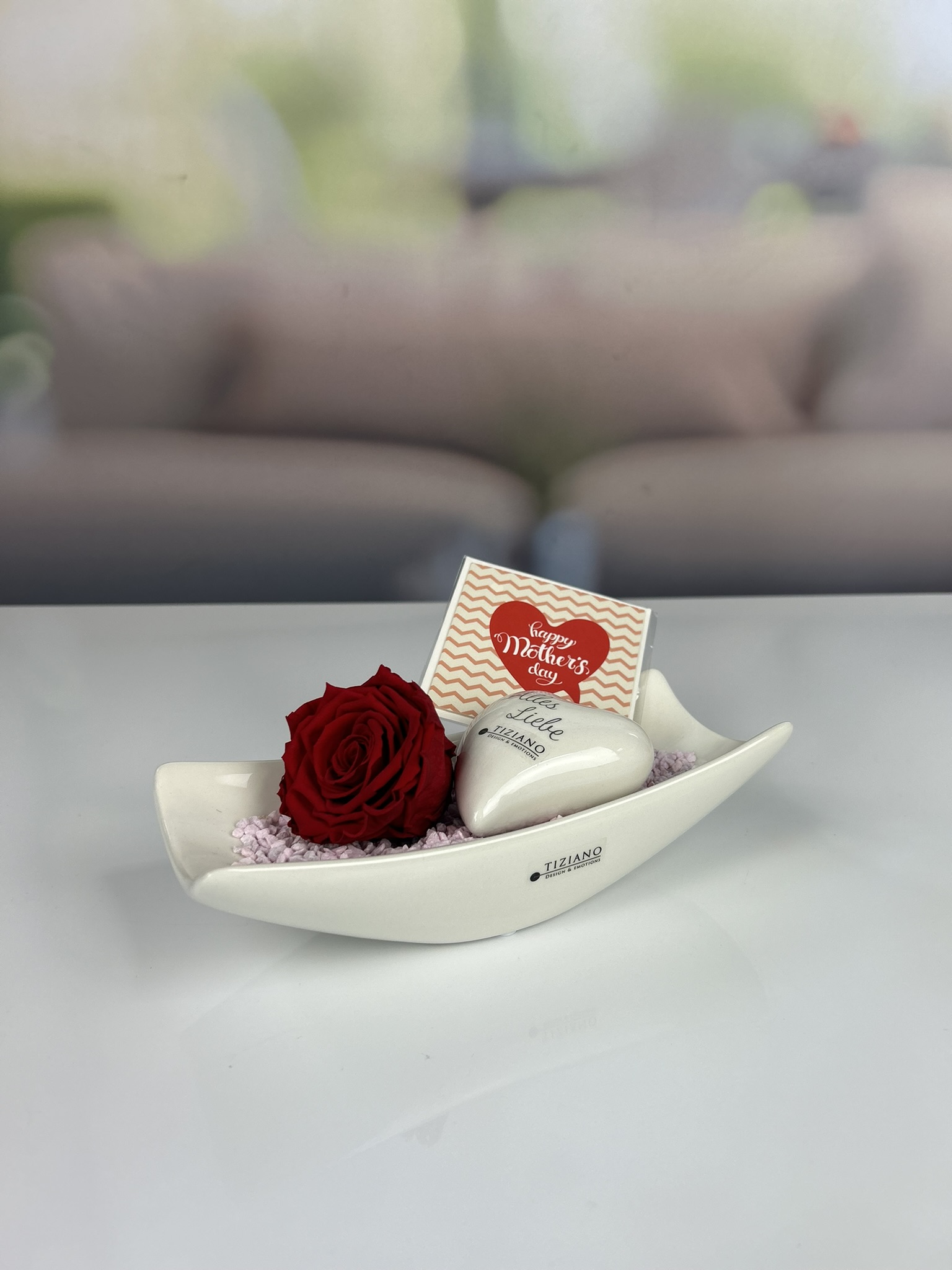 Dekoset Pflanzschale Assiano+Infinity Rose rot
