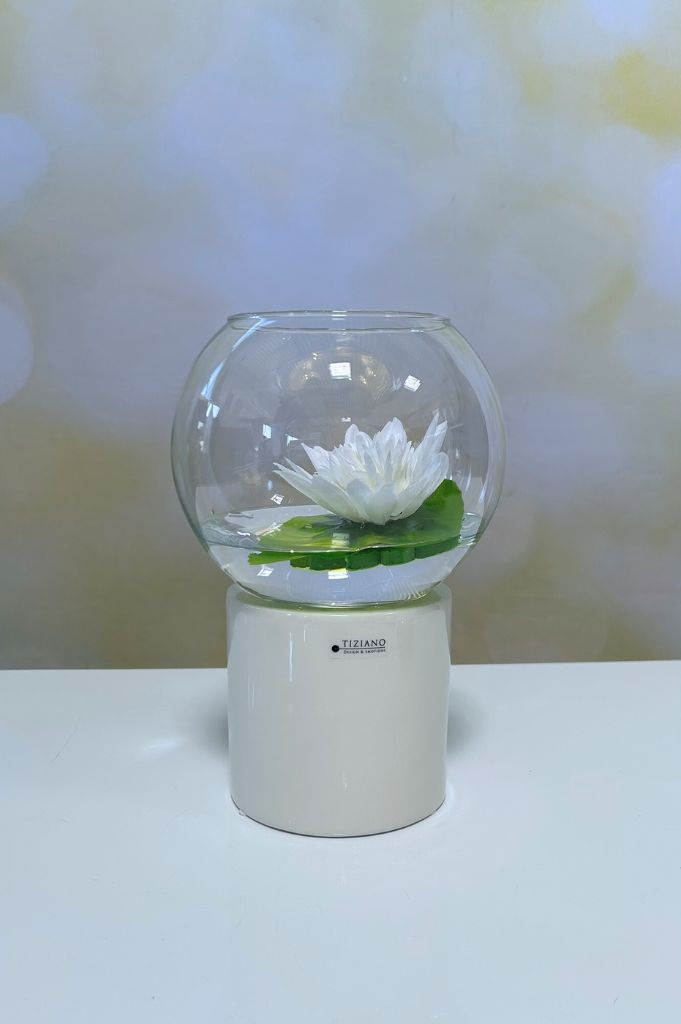 Seerose – Bild 3