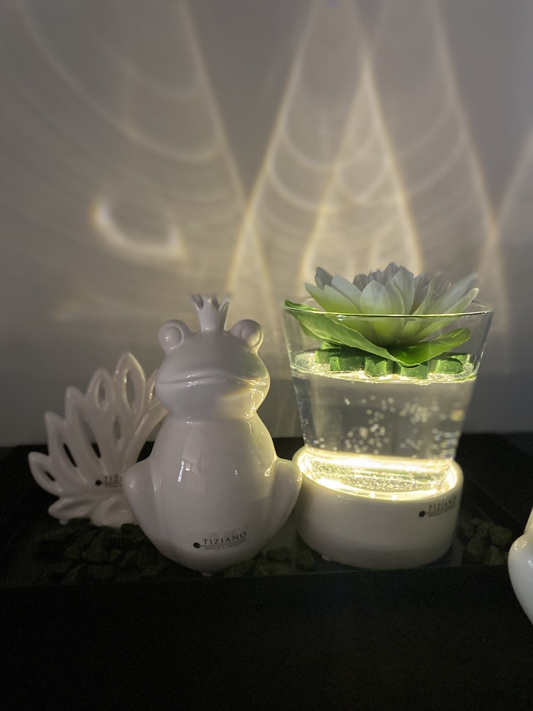 Dekoset LED Castello mit Frosch Frolo und Glas Tumi