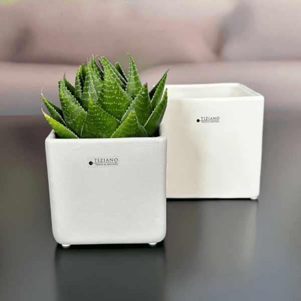 Kübel Ascoli creme-weiß