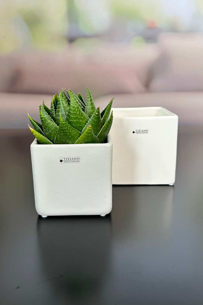 Kübel Ascoli creme-weiß
