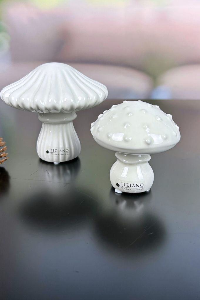 Deko Pilz Ostuni geriffelt – Bild 3