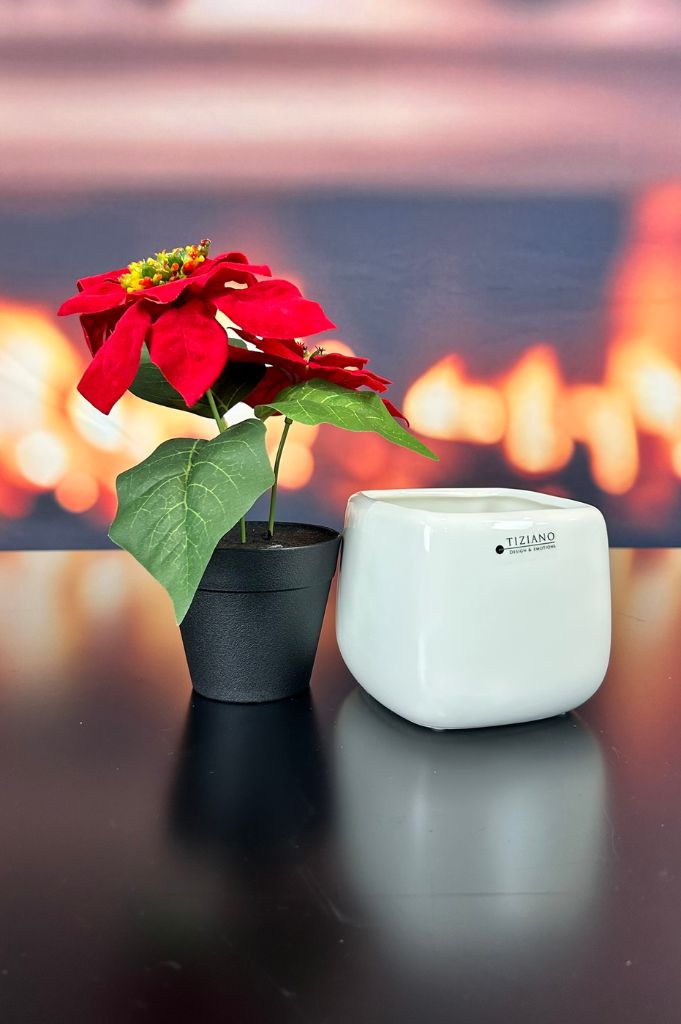 Kübel Brezone creme – Bild 4