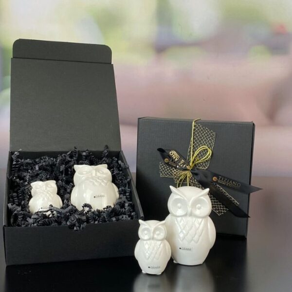 Geschenkbox M mit Deko Eule Aurelia