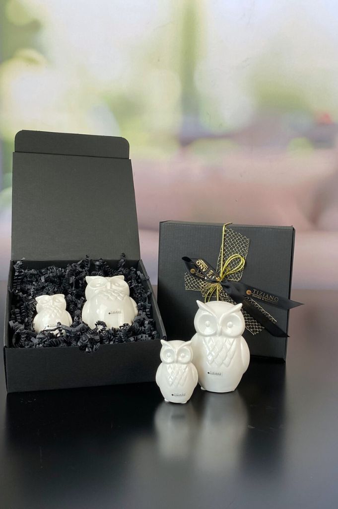 Geschenkbox M mit Deko Eule Aurelia