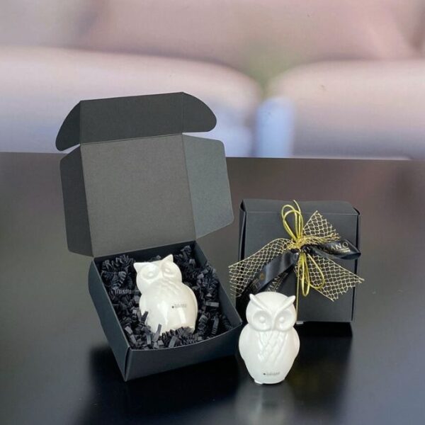 Geschenkbox S mit Deko Eule Aurelia