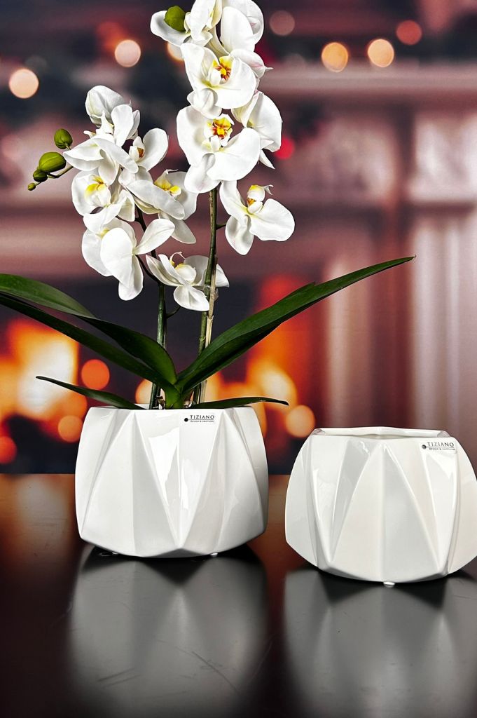 Kübel Alba creme-weiß – Bild 3