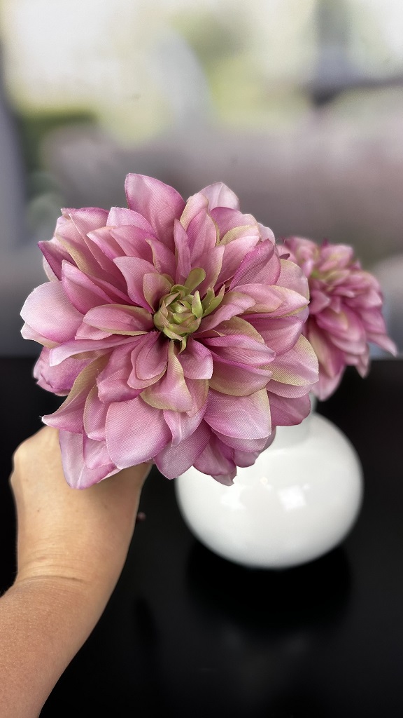 Dahlie fuchsia