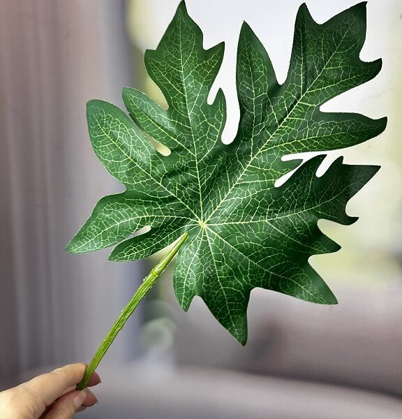 Deko Aralien Blatt grün