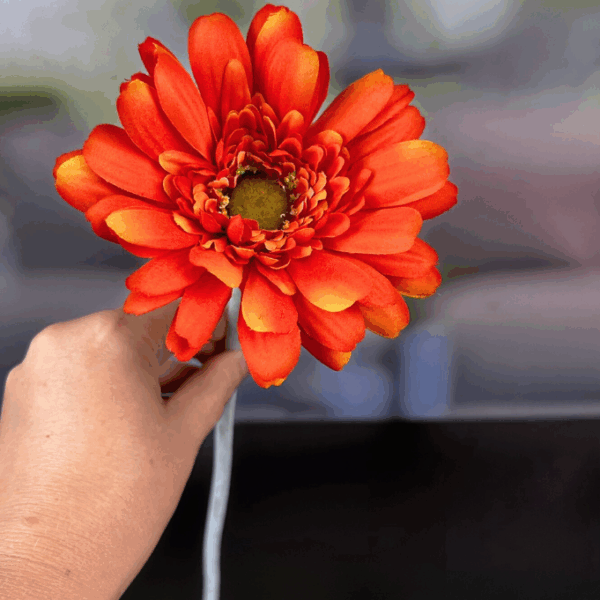 Dekoblume Gerbera blutorange