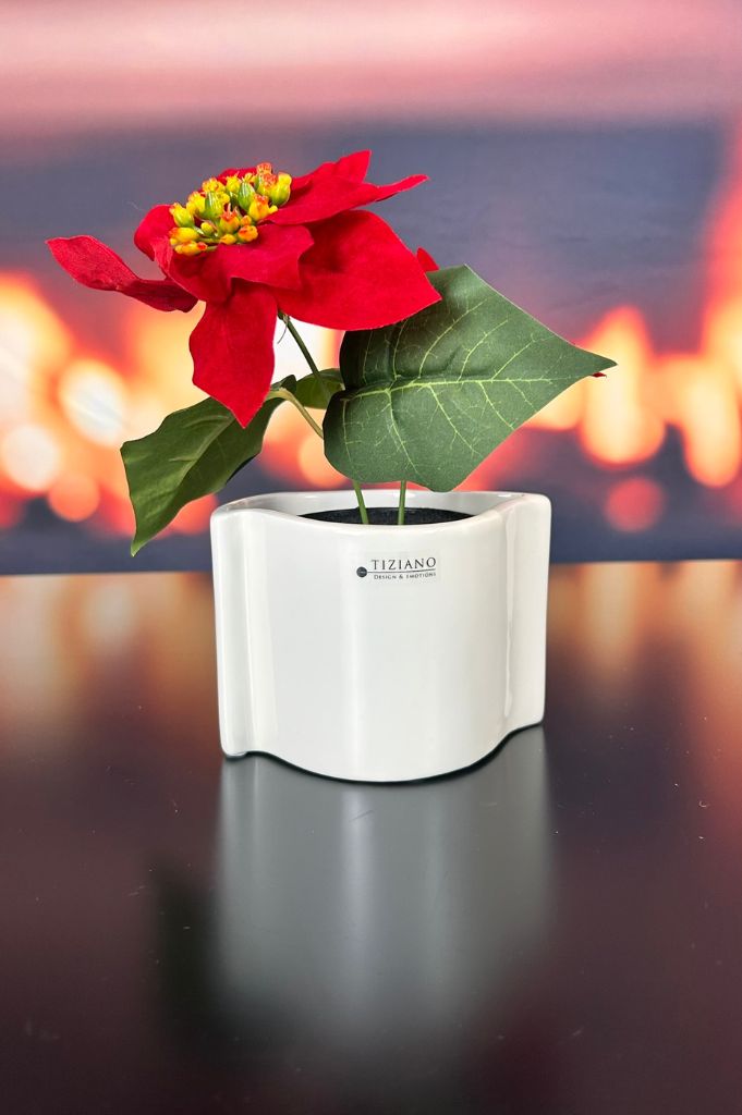 Kübel Locana creme-weiß