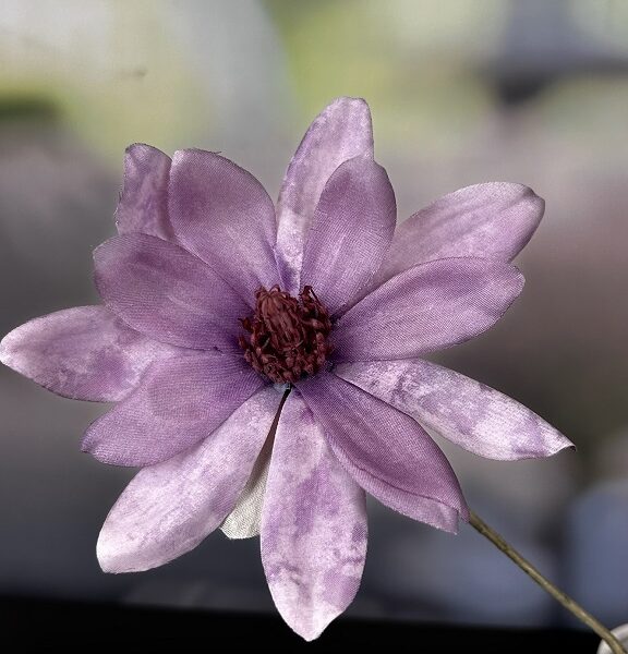 Magnolienzweig lavendel