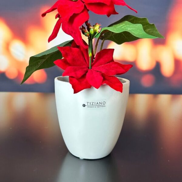 Kübel Primagera creme-weiß