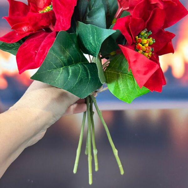 Deko Christstern Bündel rot