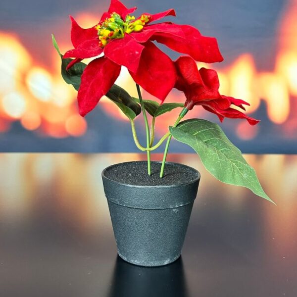 Deko Christstern rot im Topf