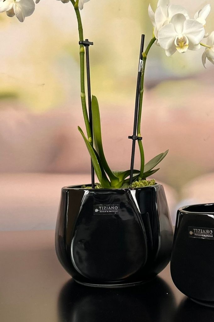Orchideenkübel Skara 15cm schwarz – Bild 2